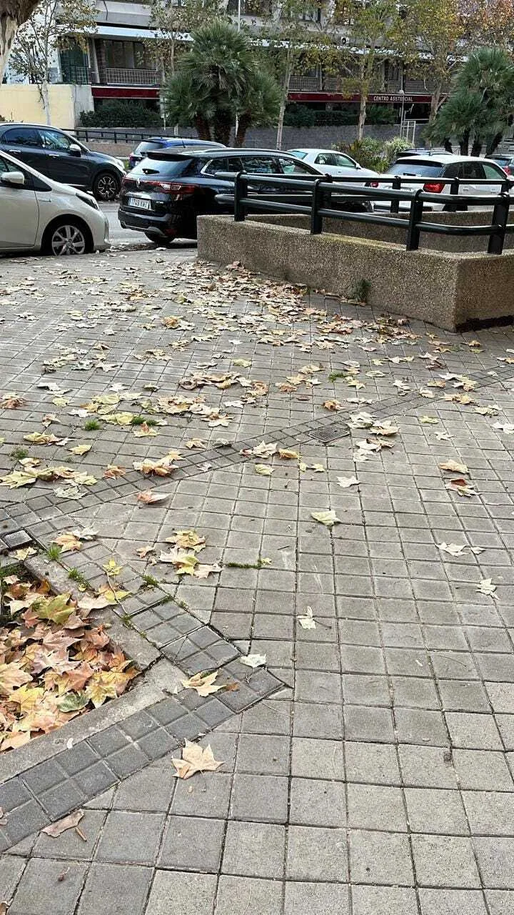 Árvores, ciclos e demissões