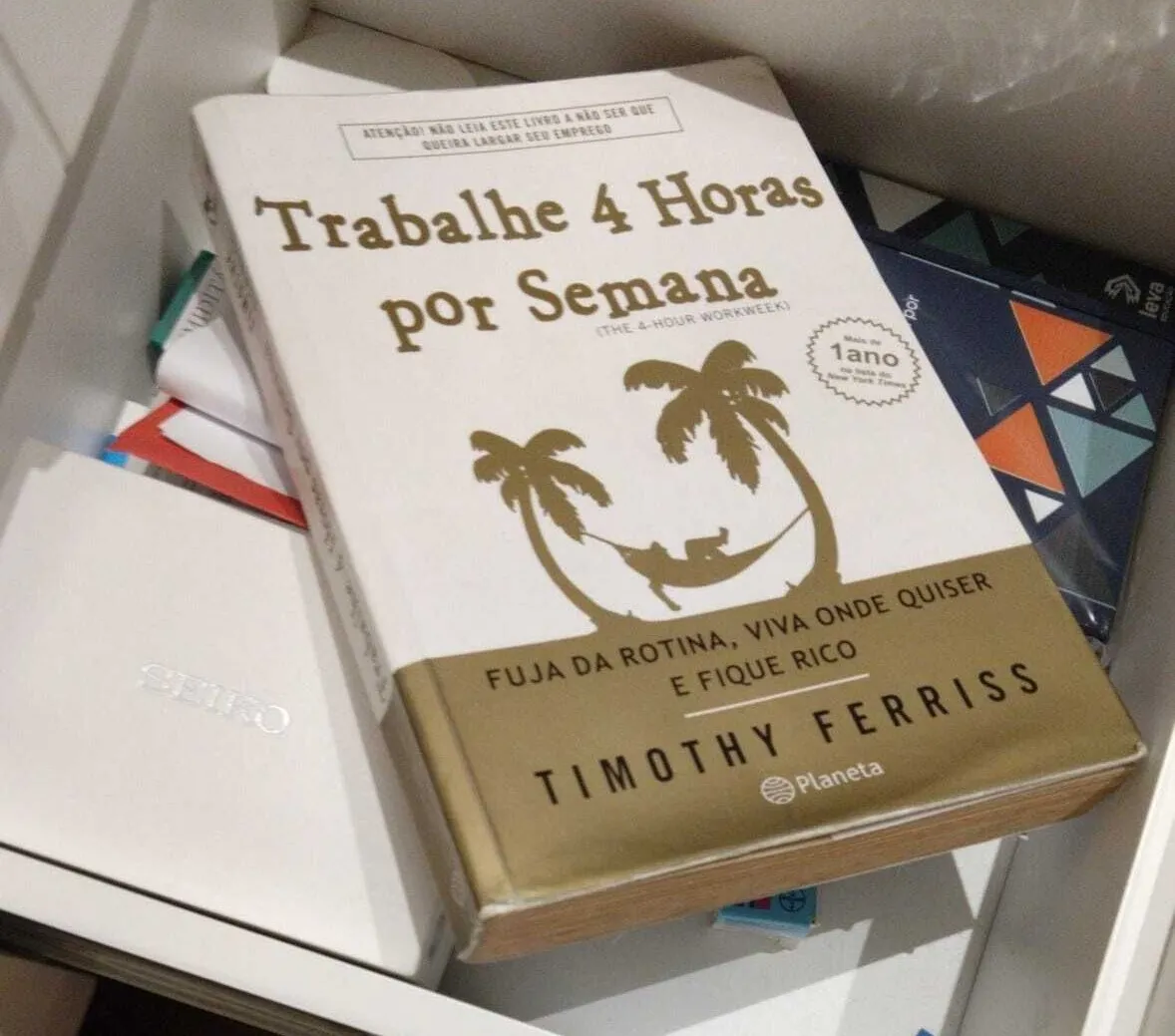 O livro responsável por eu decidir me demitir